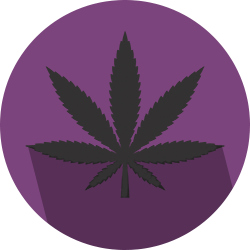 Cannabis leaf