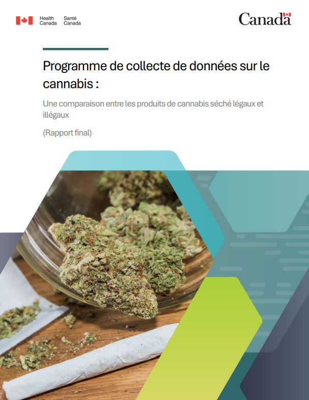 Programme de collecte de données sur le cannabis : Une comparaison entre les produits de cannabis séché légaux et illégaux
