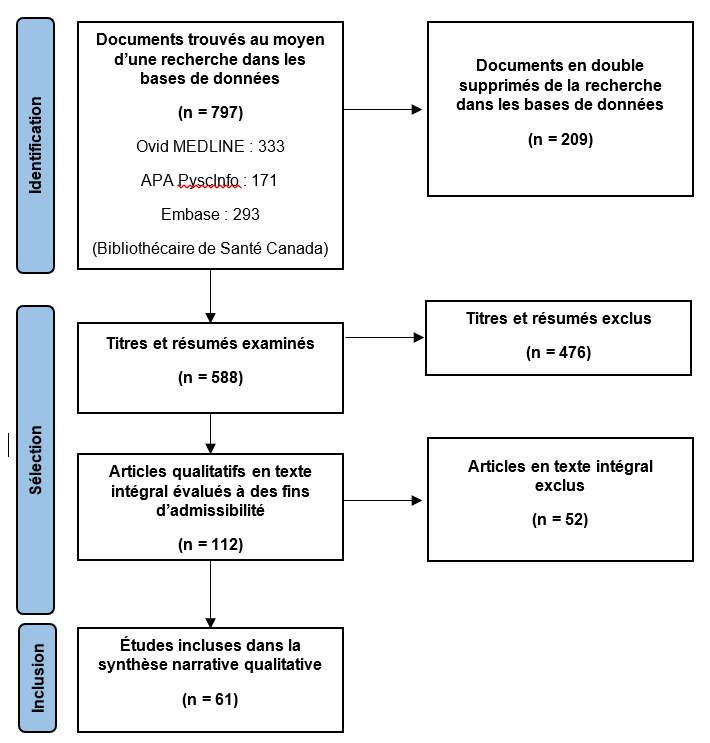 Diagramme du processus pour les études qualitatives en santé mentale