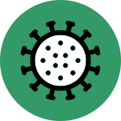 COVID icon